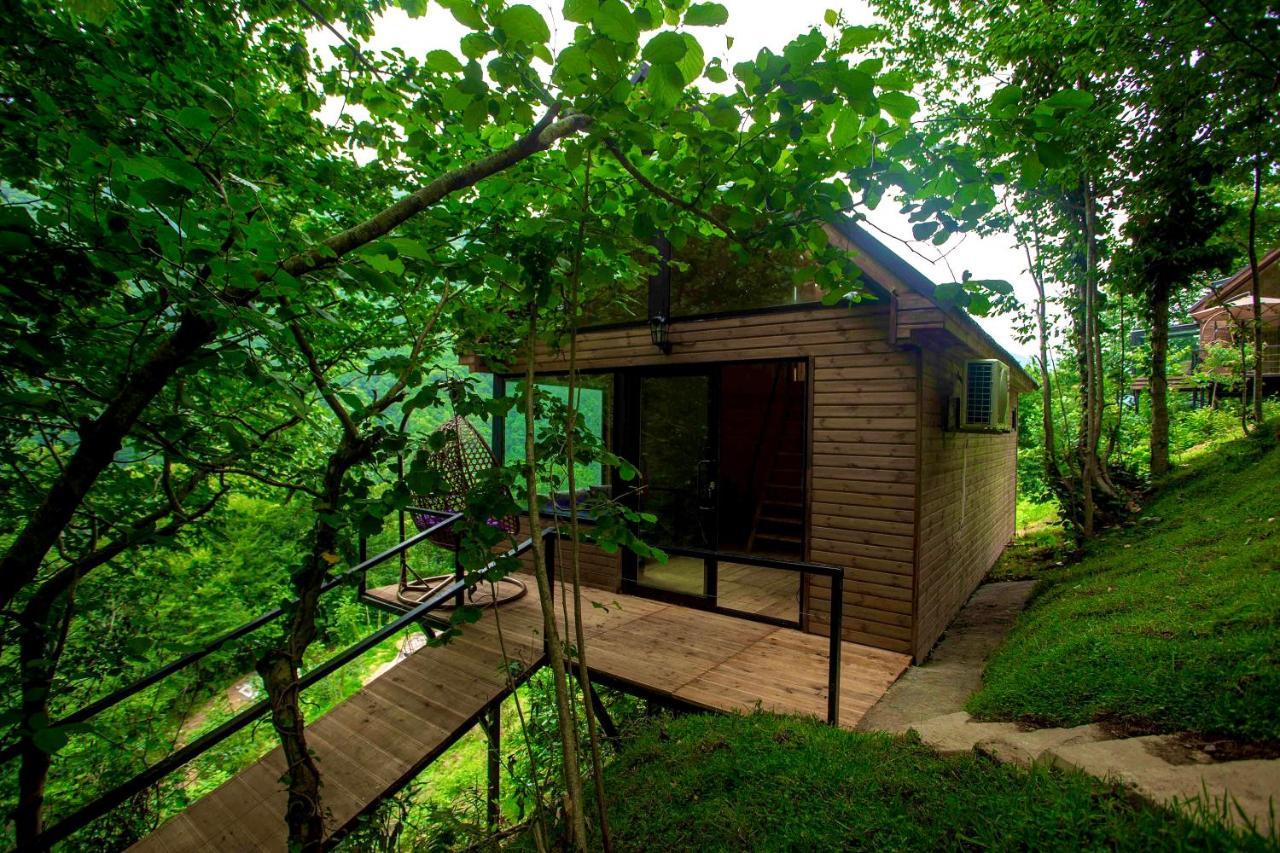 Woodpecker Ვუდფექერი Villa Batumi Eksteriør billede