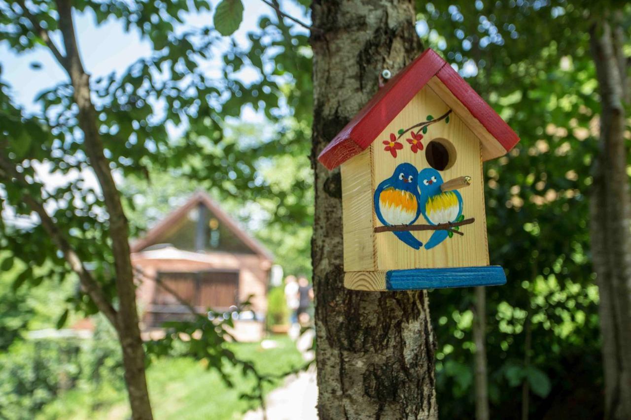 Woodpecker Ვუდფექერი Villa Batumi Eksteriør billede
