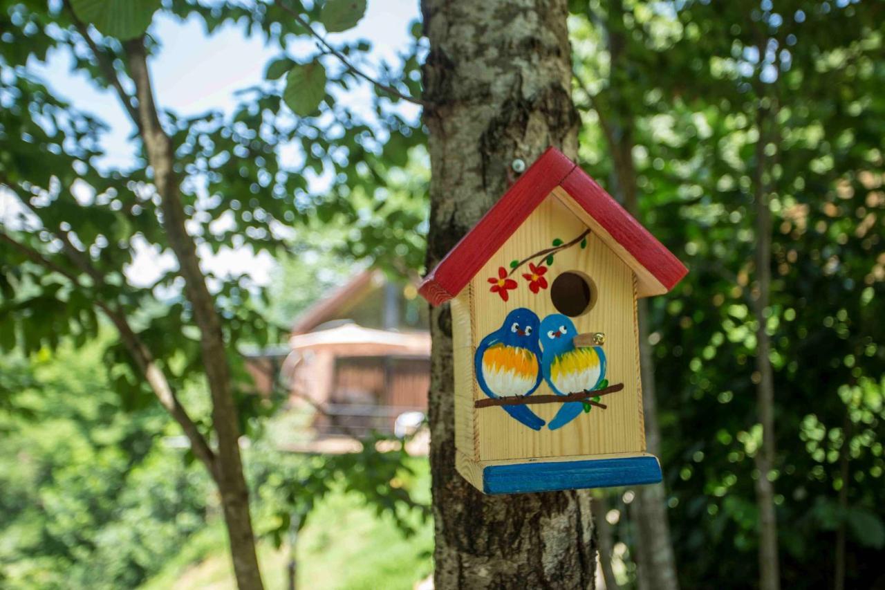 Woodpecker Ვუდფექერი Villa Batumi Eksteriør billede